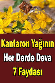 Kantaron Yaginin Her Derde Deva 7 Faydasi Sosyolife Net Coconut Health Benefits Health Fruit Health Benefits
