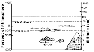 Our weather is formed in the troposphere. Ozone Layer