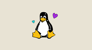 Linux: Why is it the most liked OS for developers?
