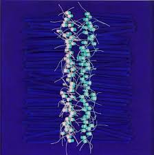 It is a spacious and sparsely populated province, divided into eleven districts and contains hundreds of villages. Arooj Urwin Farah Farah And Arooj Shefalitayal Hamster Has Thick Silky Fur That Can Be Uniformly Black Grey Creamy White Brown Yellow Or Red