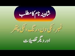 Shaheena Name Meaning In Urdu Shaheena Naam Ka Matlab شاہینہ نام کا Names With Meaning Meant To Be Names