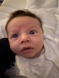 Meet the Isle of Wight's newest babies in PHOTOS