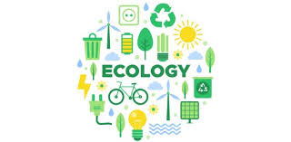 This quiz will give you an indication of how environmentally conscious you are. Quiz Basic Principles Of Ecology Proprofs Quiz
