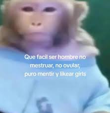 Querido Dios, si no he orado lo suficiente, por favor escucha mi corazón.