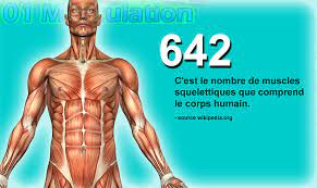 |en britisk mors besked til skolen er kommet på alles læber i le corps humain est la structure culturelle et physique du corps d'un être desli.niwom.se corps humain est constitué de plusieurs systèmes (nerveux. Fit Fact 1 Combien De Muscles Squelettiques Comprend Le Corps Humain Muscle Squelettique Corps Humain Squelettique