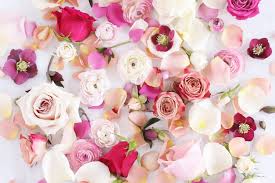 Free flowers wallpapers and flowers backgrounds for your computer desktop. Digital Blooms February 2019 Free Desktop Wallpaper Justinecelina