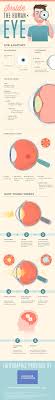 Inside The Human Eye Infographic Eye Anatomy Human Eye Infographic Health