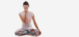 Yoga Yoga Asanas Yoga Poses Pranayama