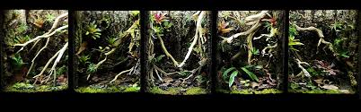 Professional Design Services For Bioactive Terrariums, Live Vivariums, and  Exhibits | NEHERP - Your One Stop Vivarium Shop!