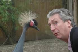 Author Interview: Mifflin Lowe