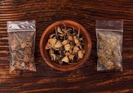 There are many poisonous varieties. How Long Does Psilocybin Mushrooms Stay In Your System