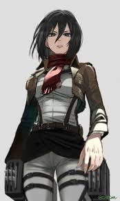 Mikasa Ackerman Snk Attack On Titan Attack On Titan Anime Attack On Titan Season Attack On Titan