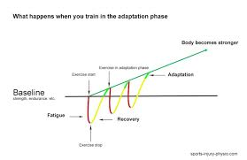 Rehabilitation In Sport Physiopedia