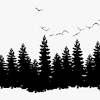 Find over 100+ of the best free forest silhouette images. 1