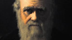 Darwin, man van het millennium