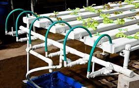 What Is The Nutrient Film Technique Nft How Does It Work Trees Com Hydroponic Farming Hydroponics Nft Hydroponics