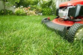 Typically, lawn care and landscaping professionals can perform many of their duties without coming into physical contact with clients. Lawn Mowing Companies Near Me In Plano Tx Tiny Web Directory
