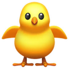Pin On Pollito