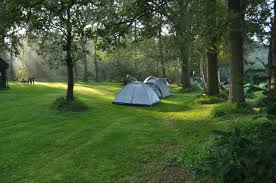 12 lots salter path campgrounds. The Best Camping Spots On The Crystal Coast Of Nc