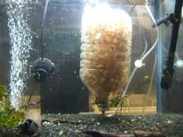 Atau ingin tahu desain aquarium air tawar yang unik sekarang ini? Diy K1 Media Filter Aquarium Shop Water Saving Gardening Diy