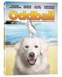 Oddball : Shane Jacobson, Sarah Snook, Alan Tudyk, Deborah Mailman, Coco  Gillies, Stuart McDonald, Steve Kearny, Sheila Hanahan, Richard Keddie:  Movies & TV