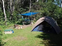 Maybe you would like to learn more about one of these? Campgrounds In The Blue Ridge Mountains Blue Ridge Travel Guide