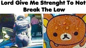 Chuckles I M In Danger Your Daily Scoop Of Memes Episode 46 Youtube
