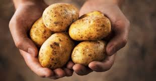 Maybe you would like to learn more about one of these? Health Benefits Of Potato Nutritional Facts And Consumption Tips