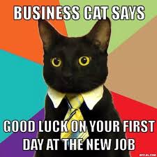 😉 we are done, but i could name babies forever… it's so fun! 40 Wonderful Good Luck Wishes For Exam Work Or Etc Business Cat Funny Cat Memes Good Luck Wishes