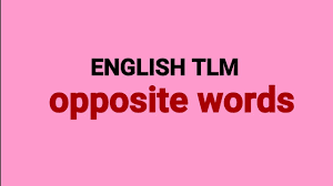 English Tlm Opposite Words Youtube Opposite Words Teaching Learning Material Words
