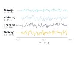 The Introductory Guide To Eeg Electroencephalography Emotiv