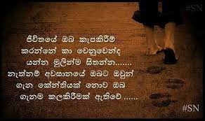 Sinhala Quote Life Quotes Friends Quotes Best Success Quotes 45+ life quotes that'll motivate you to take that next step. sinhala quote life quotes friends