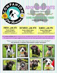 See how the tissues and organs in your body are working. Cpr Dogs On Twitter Adoption Events In Southbury And Oxford Stop By On Saturday For Hardware Presents For Fathersday And Puppy Snuggles Woof Dogs Https T Co Kvokuxbrjz