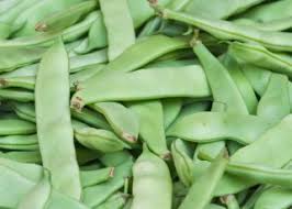We did not find results for: Bean Romano Pole 250 Seeds