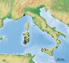 Image result for Verde Giannutri 2008 147