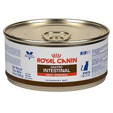 Dewormer, flea & tick treatment. Royal Canin Veterinary Diet Gastrointestinal High Energy Canned Cat Food 5 8 Oz Case Of 24 Chewy Com Canned Cat Food Cat Food Renal Support