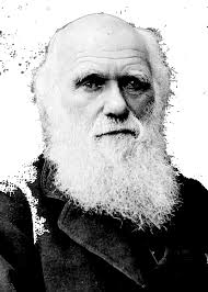 Disease Vaccination & Society Medical Innovation History