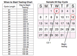 Ovulation Test Strip Instructions For Use Early Pregnancy Tests Com