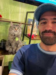 Introducing Catfe—our newest cat lounge partner, located in Santa Clarita.  👏👏This charming cat lounge opened just a few weeks ago and we are so  excited to announce that Kitten Rescue cats now