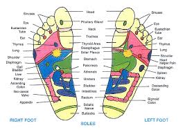 Reflexology Foot Reflexology Reflexology Foot Pressure