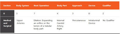 Tcar Hospital Coding And Payment Silk Road Medical