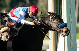 It is not too early to start! Kentucky Derby Pedigrees 4 Contenders To Consider
