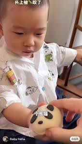 Den, apa si yg lu tangisin 🤣🤣🤣 #aiden奶爸护航记 #zhengsiwei #badminton  #badmintonplayer #badmintonchina