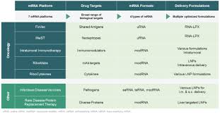 Every cell in your body contains organelles (structures that have specific functions). Sec Filing Biontech
