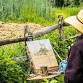 Plein Air Painting event image