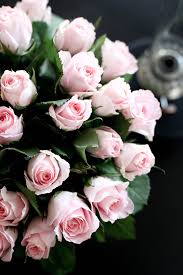 Touch device users, explore by touch or with swipe gestures. 690 Pretty Pink Flowers Ideas Flowers Pink Flowers Beautiful Flowers