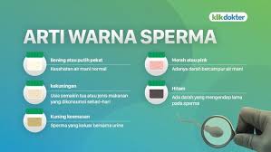 Maybe you would like to learn more about one of these? Warna Sperma Bisa Berbeda Apa Artinya Bagi Kesehatan