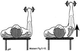 Image result for Shoulder Strength Exercises