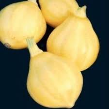 Lemon Squash Seeds