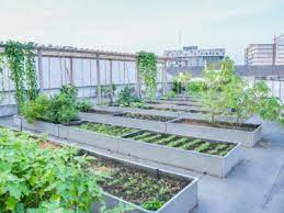 Dieses und viele weitere bücher versandkostenfrei im thalia onlieshop bestellen. Roof Garden Design How To Build A Rooftop Garden